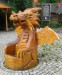dragon2