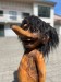 troll24b